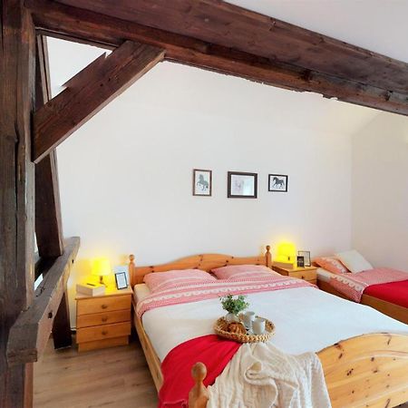 Pension U Sebastiana Hodousice Habitación foto